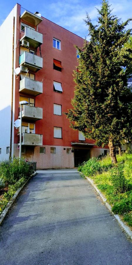 Pula Center Green Park Apartments And Rooms エクステリア 写真